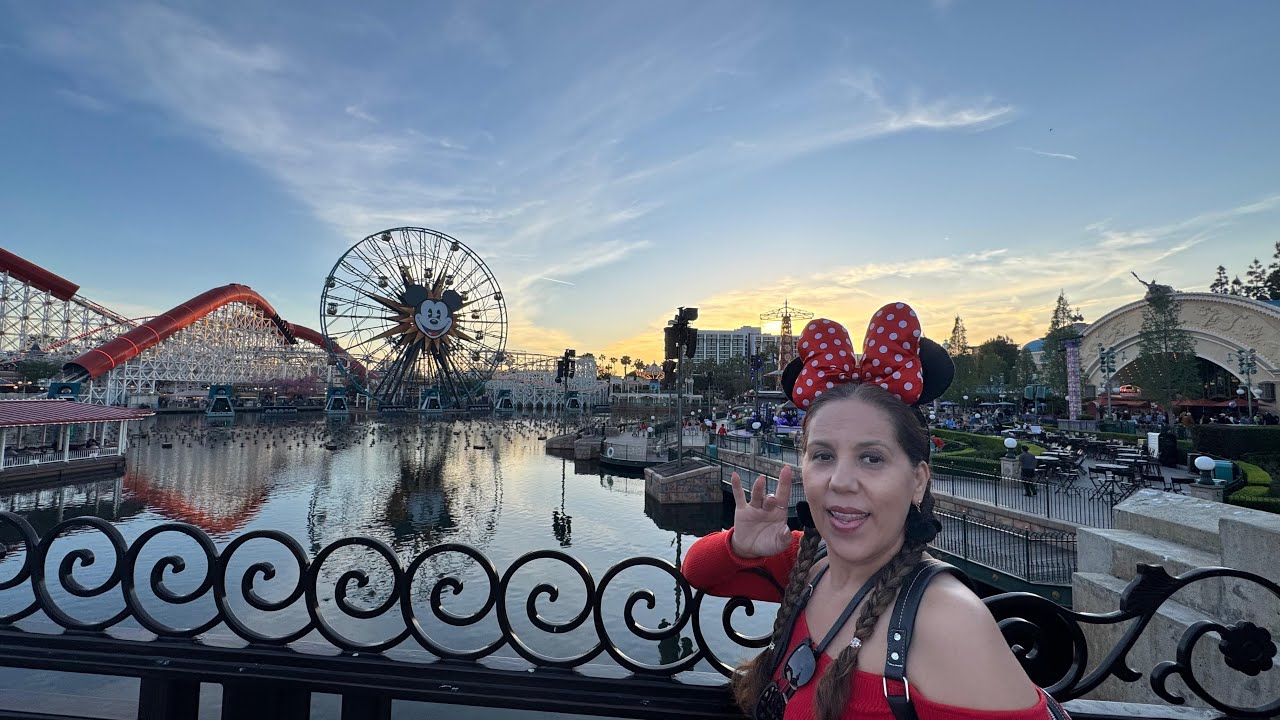 Wow, The Reality Of Navigating Disneyland Resort Blindly!  #VisualDescription