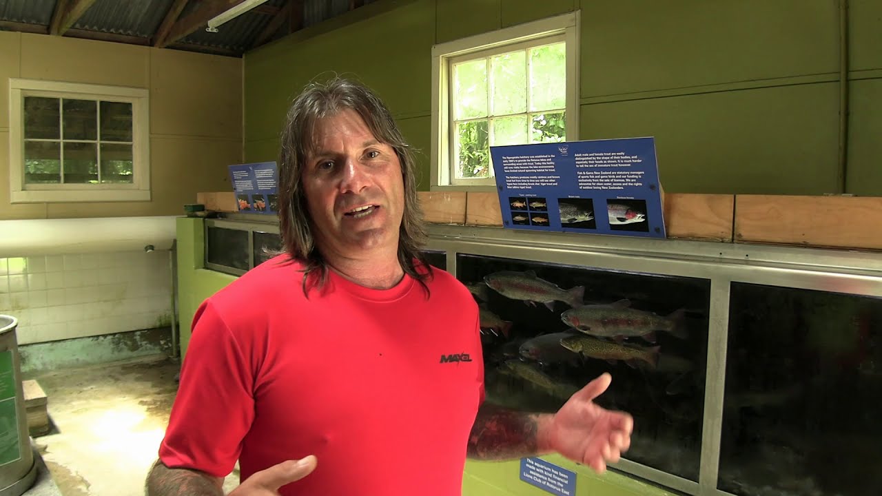 Fantastic activities for the family at Rotorua | trout hatchery | New Zealand