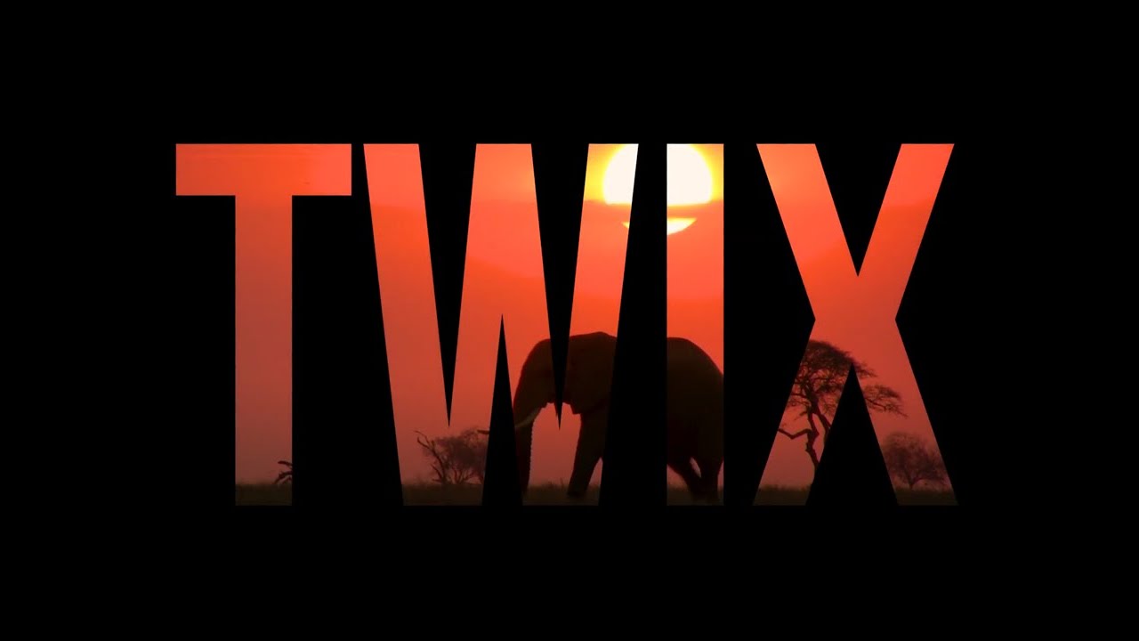 TWIX - the tool helping global enforcement fight wildlife crime