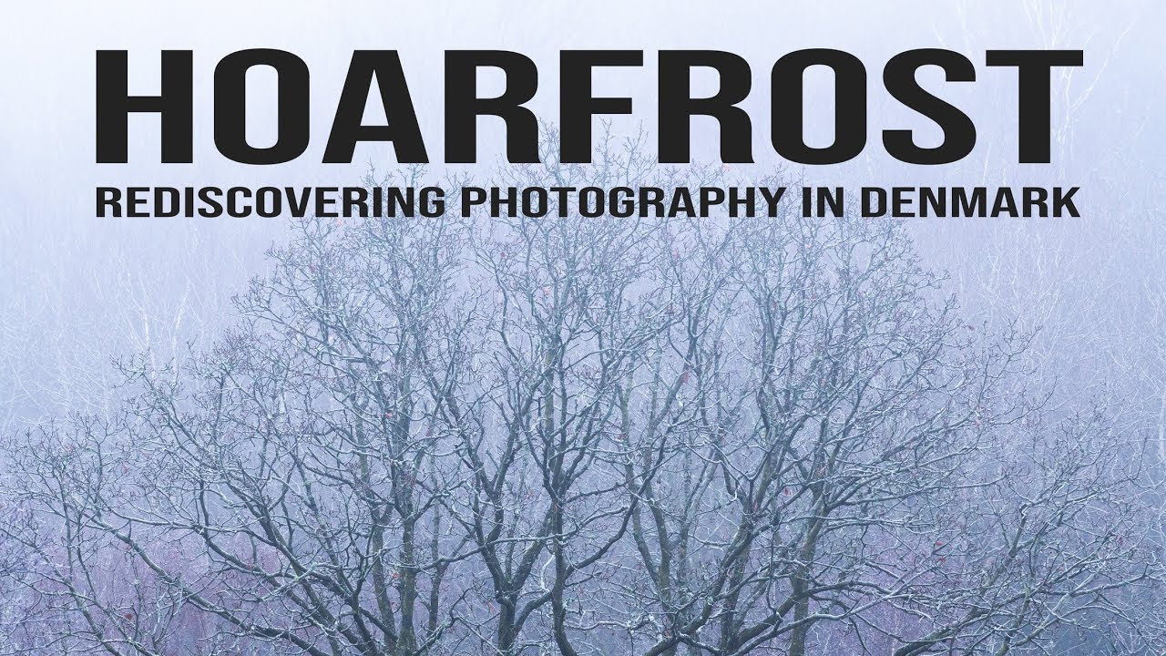 HOARFROST and FOG - IGNITING my passion for landscape photography in Denmark | 4K