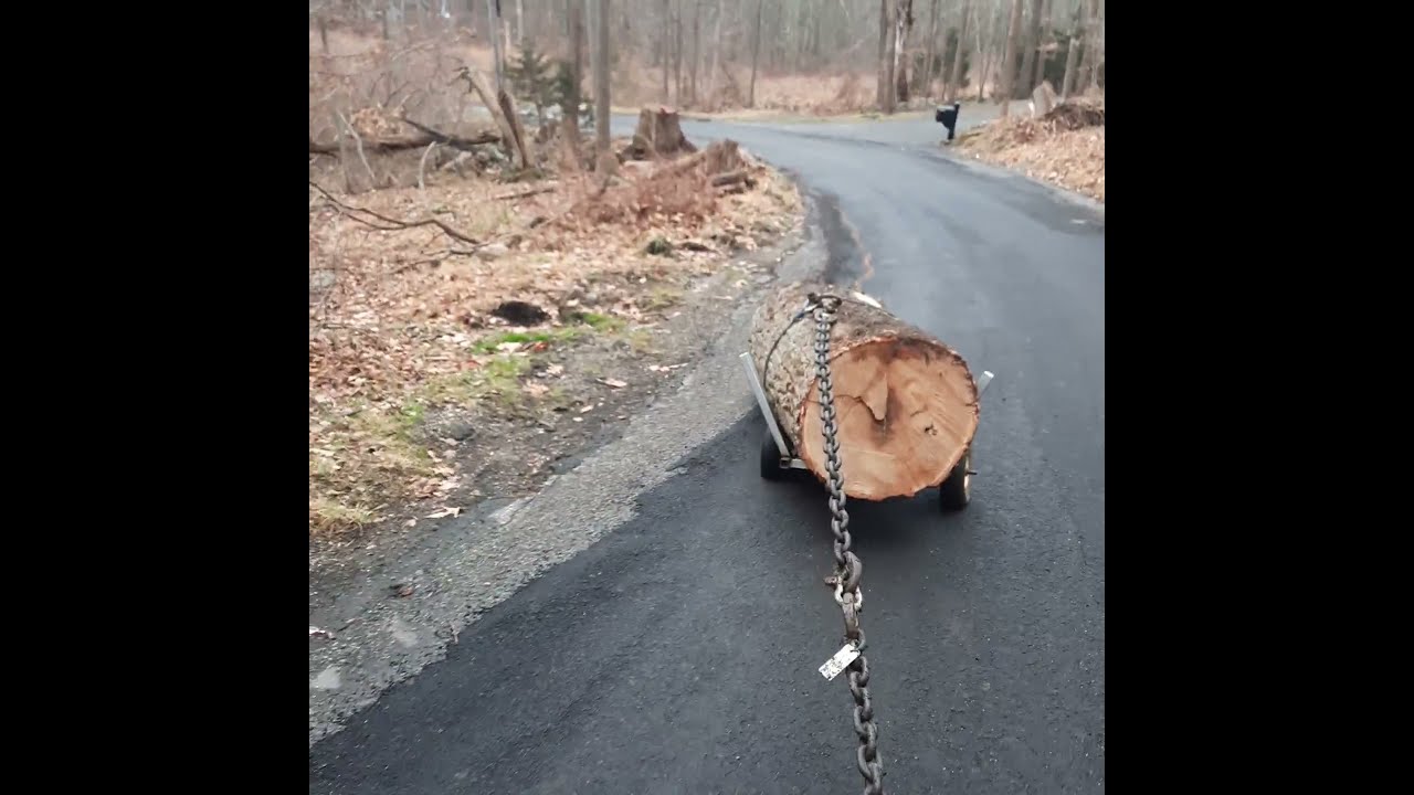 Towing Red Oak log with Kubota BX25D