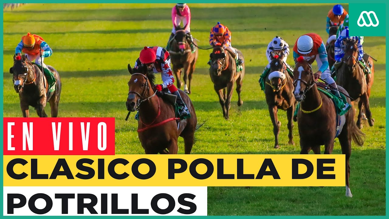 EN VIVO | Clásico Polla de Potrillos desde el Club Hípico