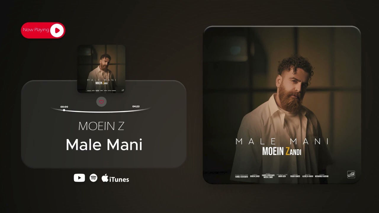 Moein Z - Male Mani ( معین زد - مال منی )
