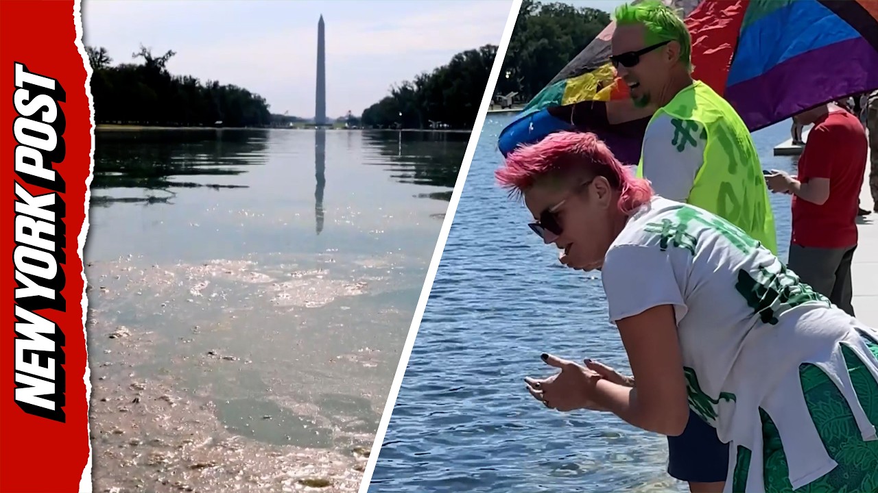 Anti-Trump Protesters Praise Reflecting Pool Algae: 'Doing More to Fight Fascism Than Any American'