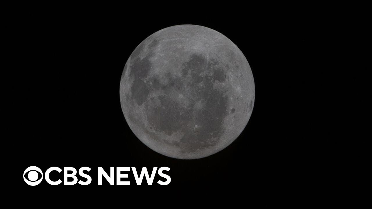 NASA official says Artemis II crew saw different colors on moon's surface