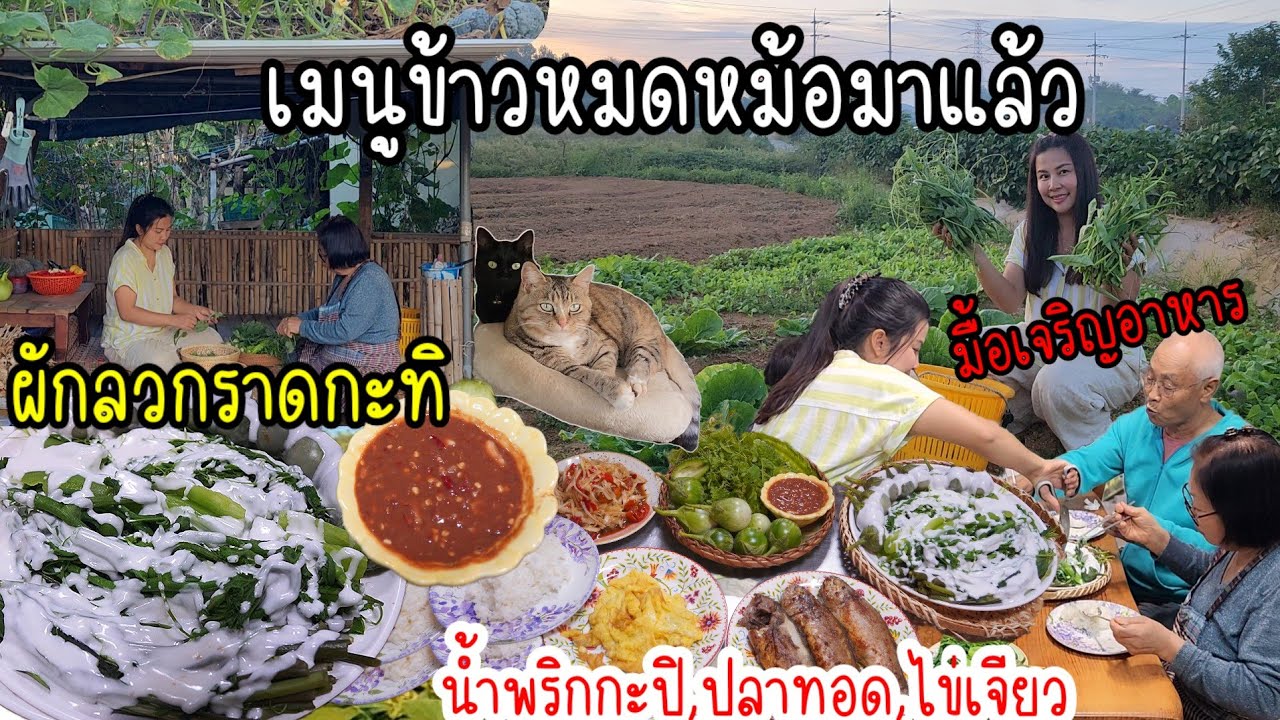 EP.908 ผักลวกรวมมิตรราดหัวกะทิ กับสูตรน้ำพริกกะปิสีสวยที่ทำง่ายและอร่อยมาก ข้าวหมดหม้อแน่มื้อนี้☺️