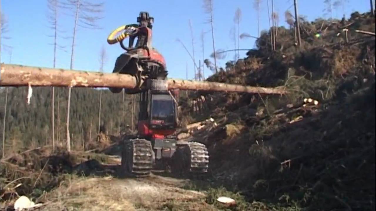 Die roten Wald-Giganten | Valmet Harvester und Forwarder