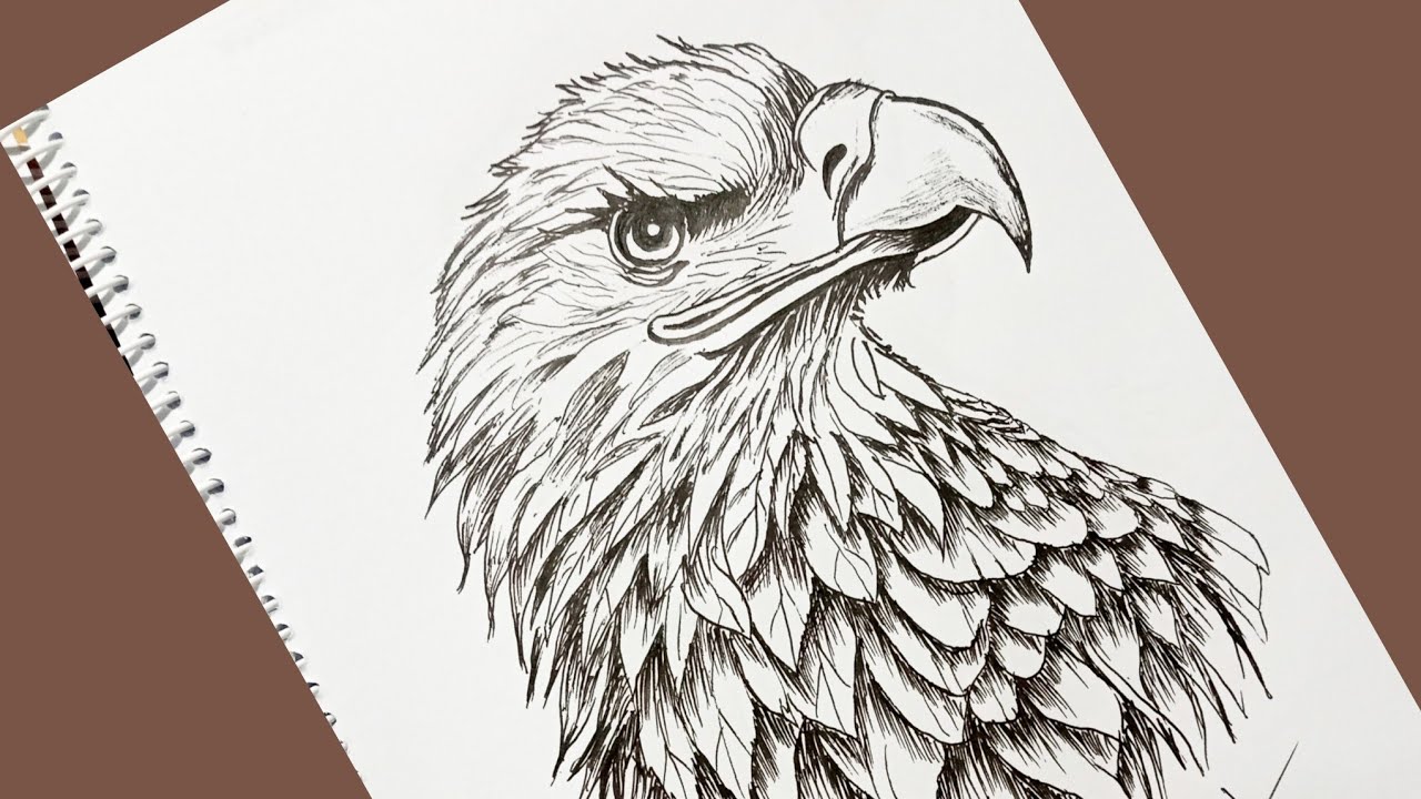 সহজে ঈগল আঁকা/How to Draw an Eagle Head - Pen and Ink Sketch for Beginners❤️