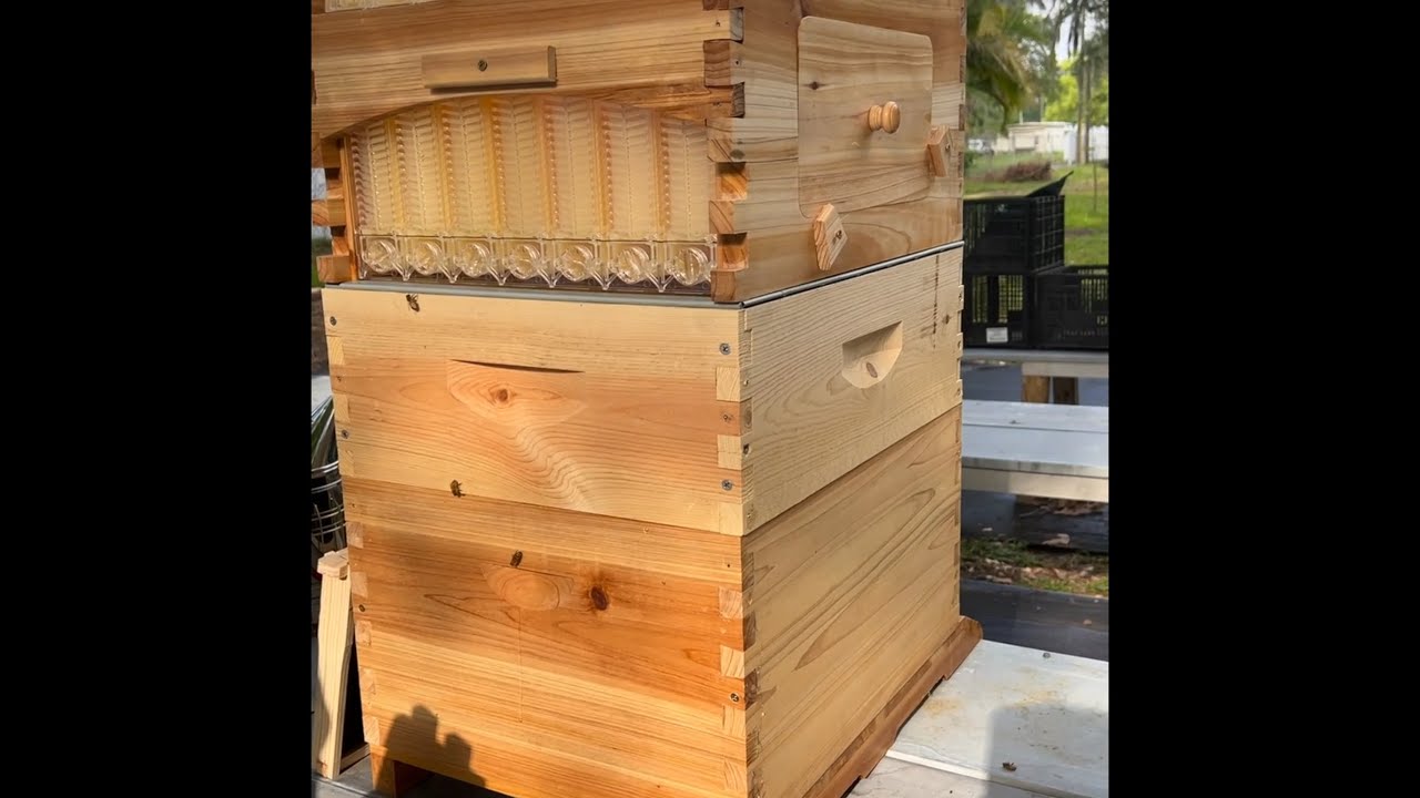 Flow hive modifications. Chinese version. #flowhive #beehive