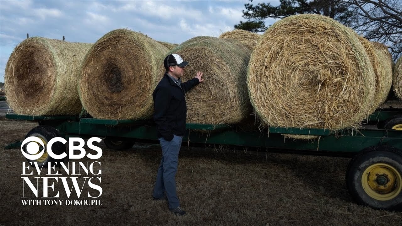 Farmers face mounting financial strain as diesel prices rise amid war