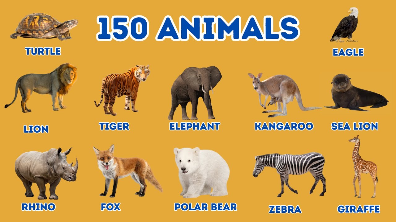 150 Wild Animal Names for Kids | Learn Animal Names for Toddlers in a Fun Way | Joyful Kids English