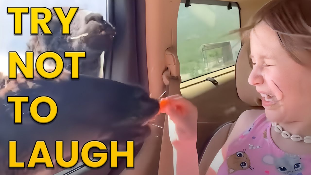 Funniest Animals of the Year! Try Not To Laugh Challenge 🙈😹