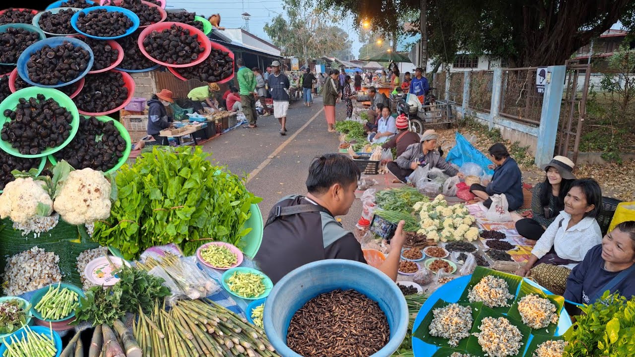 บรรยากาศบ้านๆ EP 01 ตลาดเช้าบ้านคำสมิง ตำบลเกษม อำเภอตระการพืชผล อุบลราชธานี