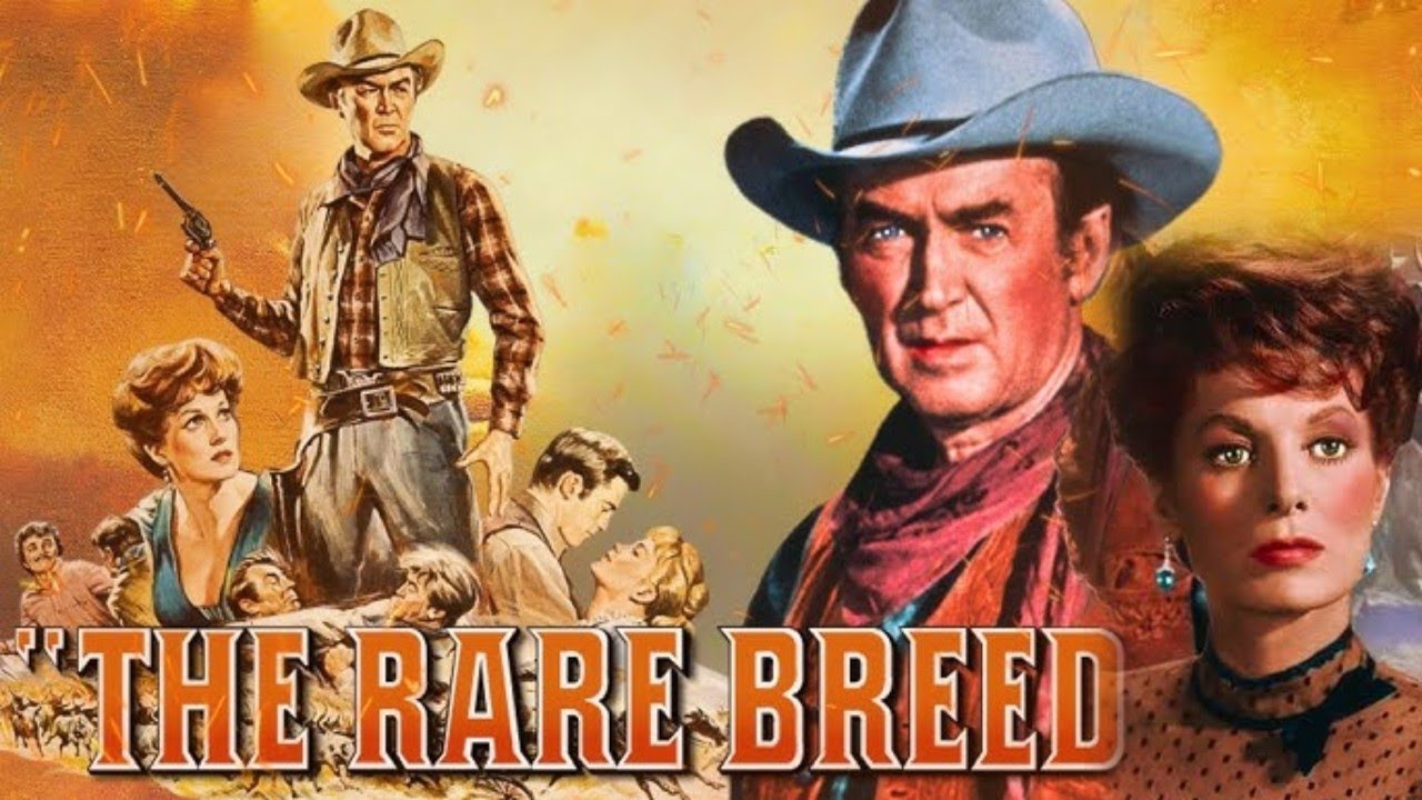 The Rare Breed (1966) Full Movie Facts || James Stewart, Maureen O'Hara, Brian Keith | Review