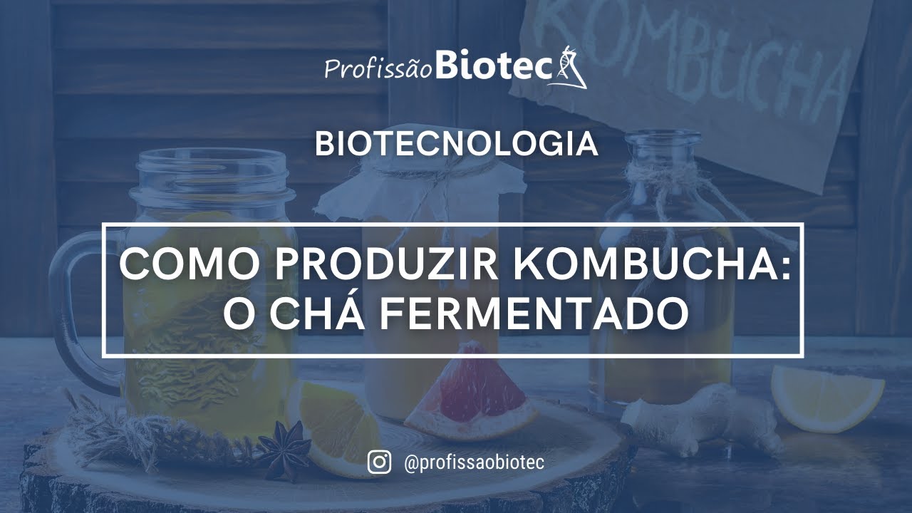Como produzir Kombucha: o chá fermentado