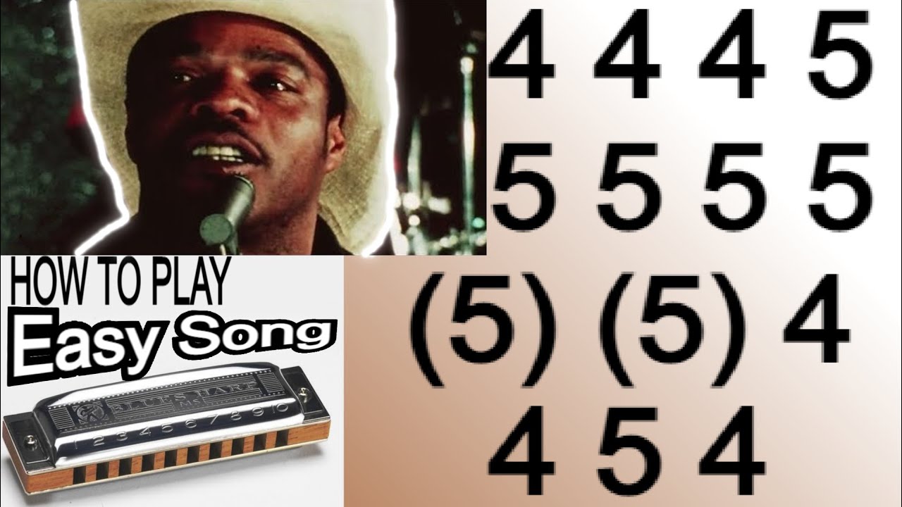 (EASY) LOW RIDER HARMONICA ( C DIATONIC ), ARMÓNICA C, BLUES HARP C, GAITA DE BOCA C MUNDHARMONIKA C