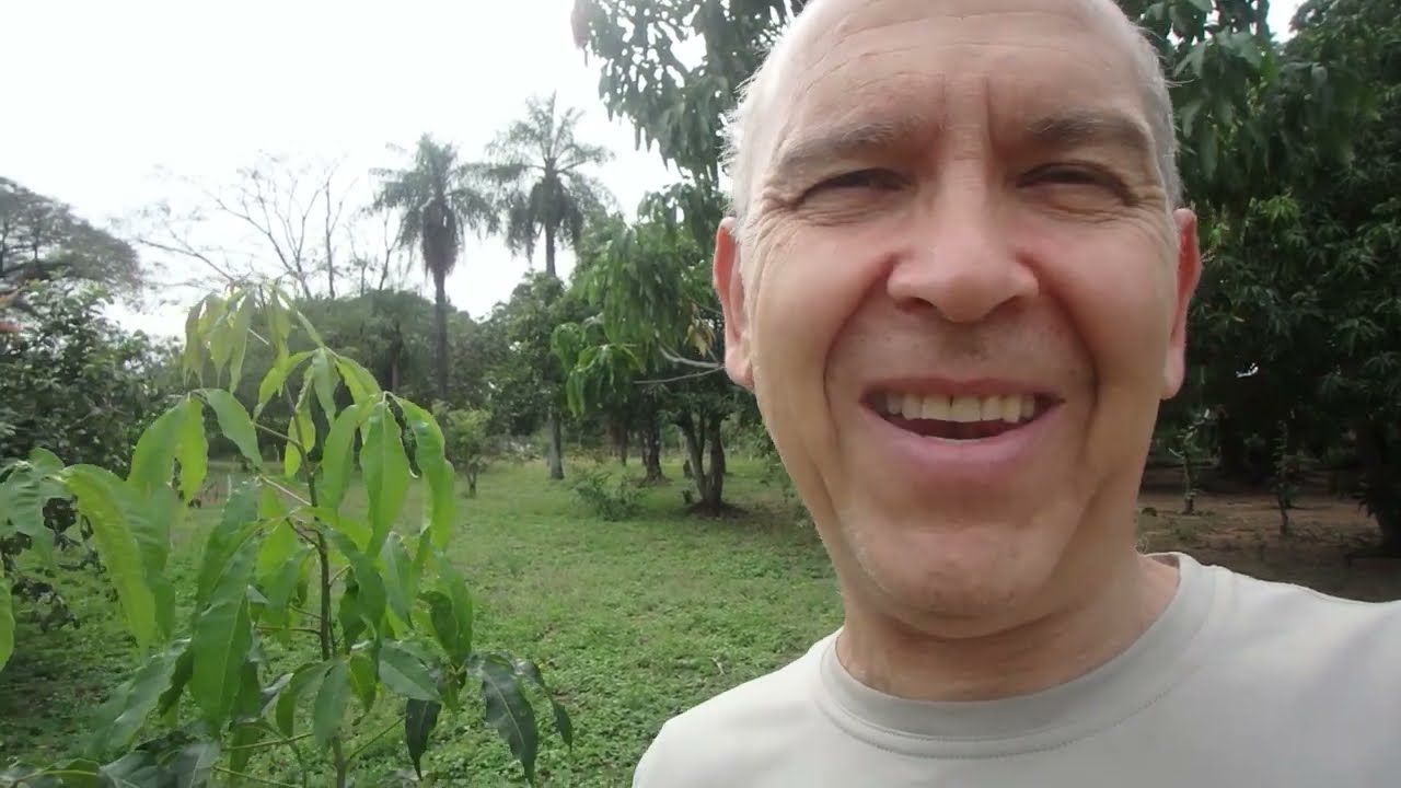 PARAGUAY GARTEN MIT GEMUESE UND OBSTBAEUMEN DIE WIR EINGEPFLANZT HABEN