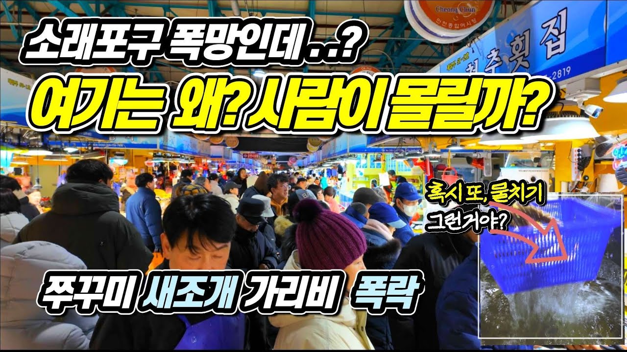 새조개 작년 반값 대폭락 연안부두어시장 여긴 발 딛을 틈이 없네요!
