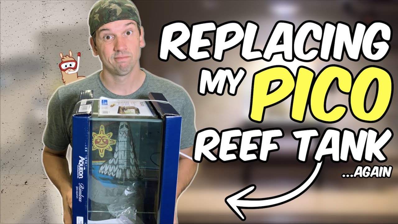 Upgrading and Replacing My Pico Reef Tank...AGAIN