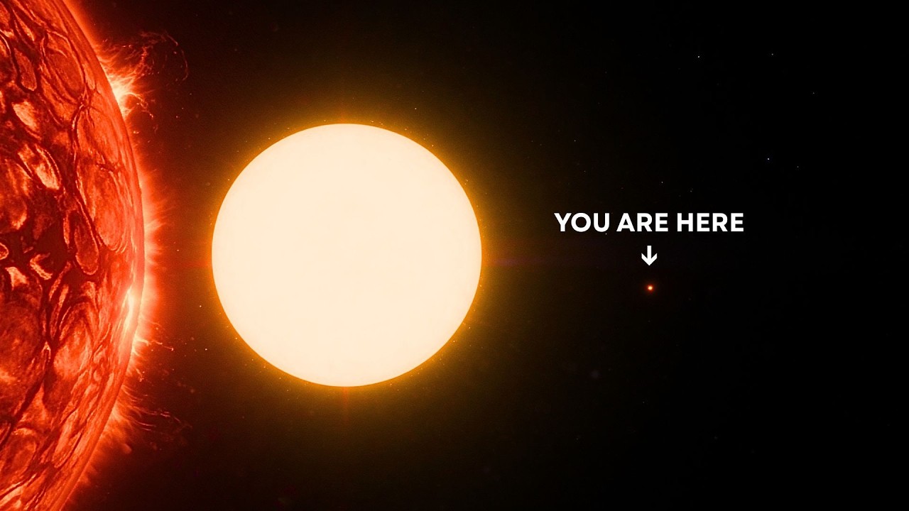 How Big is the Sun Compared to the Largest Stars?