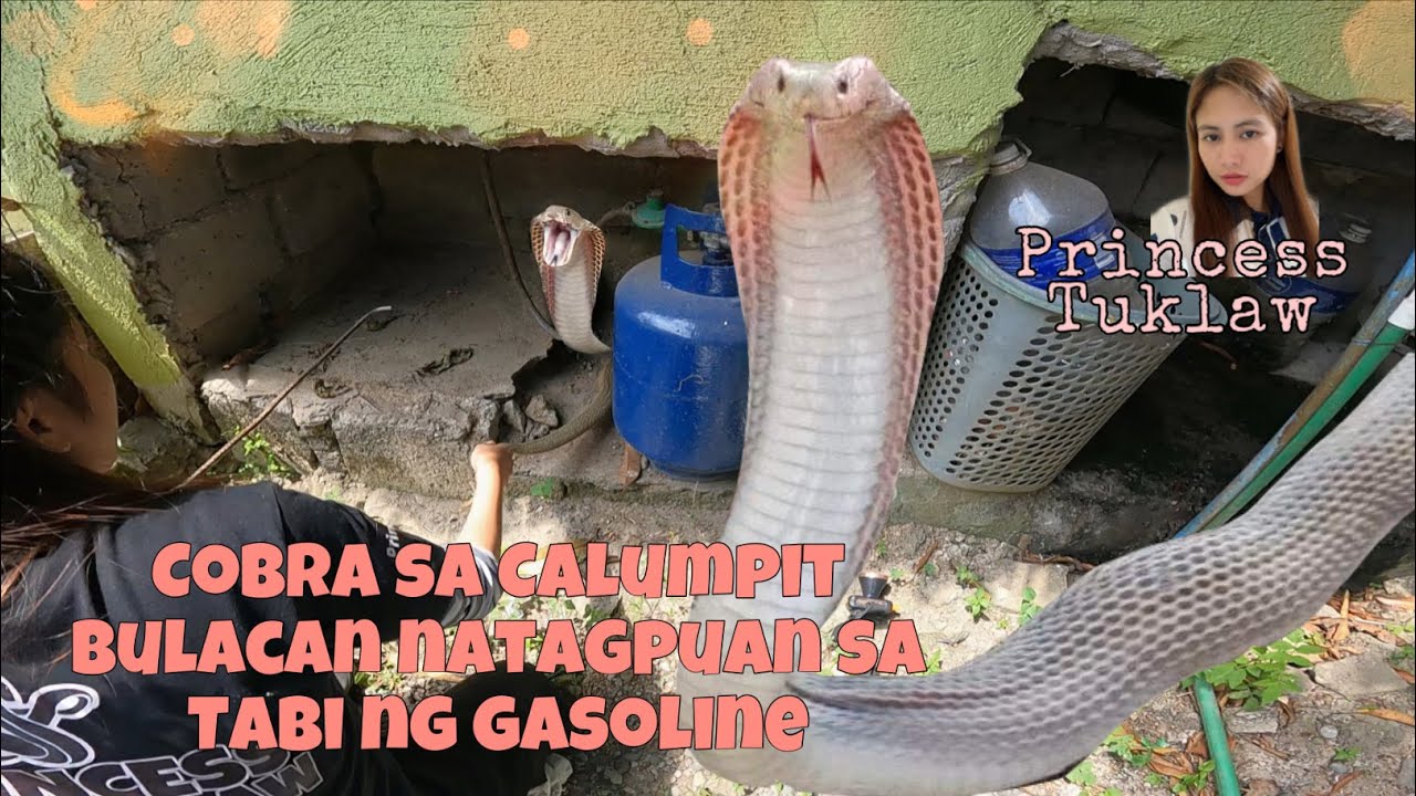 COBRA SA CALUMPIT BULACAN NATAGPUAN SA TABI NG GASOLINA #PrincessTuklaw #RODHARINGTUKLAW #SNIPER