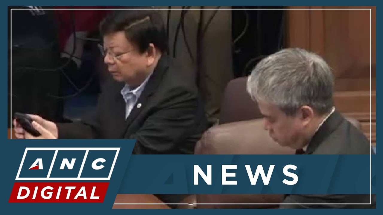 German: There are speculations ‘Pinks’ trying to form alliance with Duterte allies to convict Sara