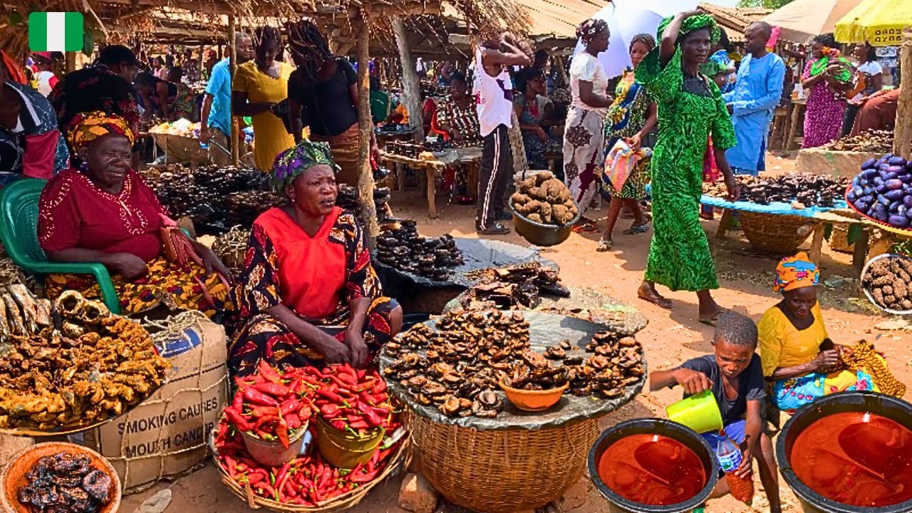 Rural African village market Day in  DOMA Nigeria 🇳🇬, west Africa