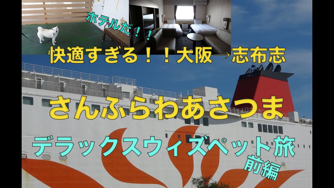 【ペットと船旅①】さんふらわあさつまで鹿児島へgo！！ヒトもイヌも快適すぎるデラックスウィズペットルーム〜前編〜