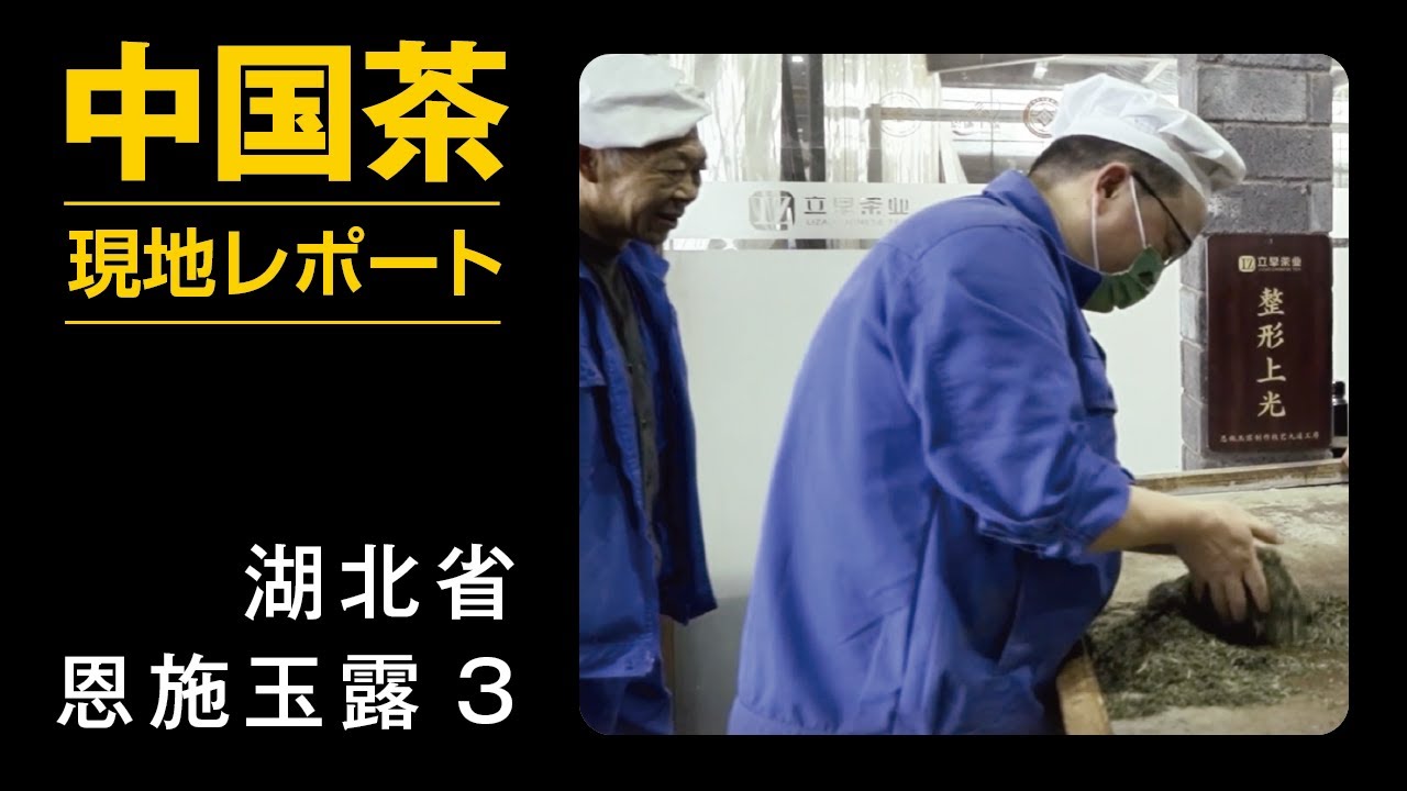 湖北省・恩施玉露の手工製茶／中国茶現地レポート