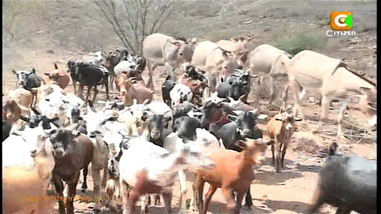 5 People Killed, Several Injured, Turkana County