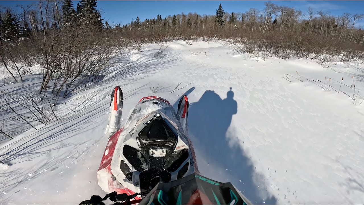More awesome snow and creek exploring!
