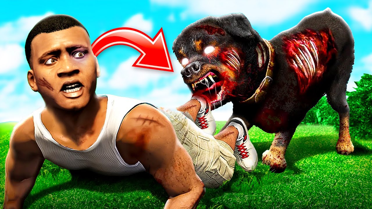 CHOP frisst mich auf in GTA 5!!😱🐶