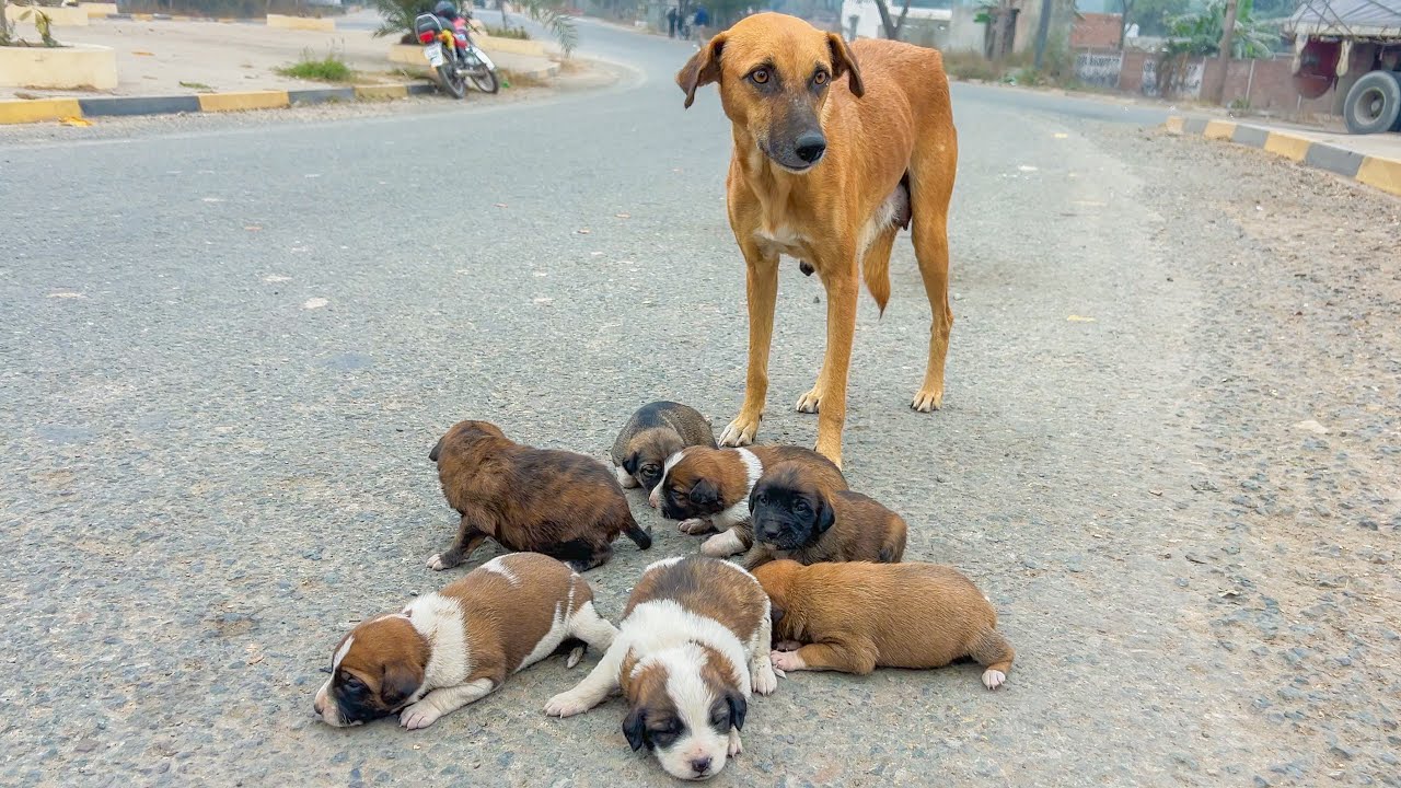 Just be patient, it will be fine when you get home.