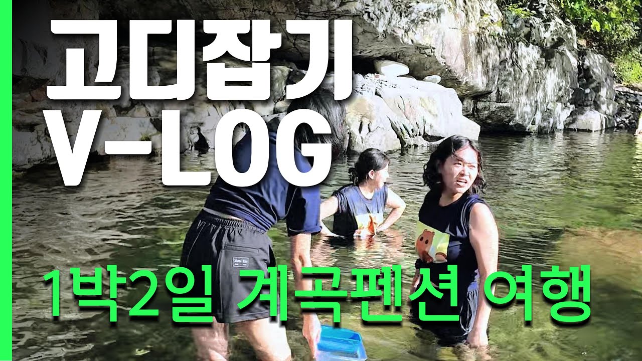 아줌마 4명이 계곡에서 고디잡고 밥먹는 브이로그🚗🌳