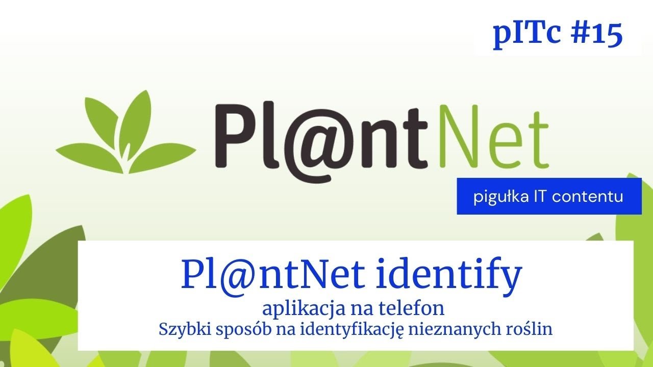 pITc-S01E15-Pl@ntNet identify identyfikacja roślin