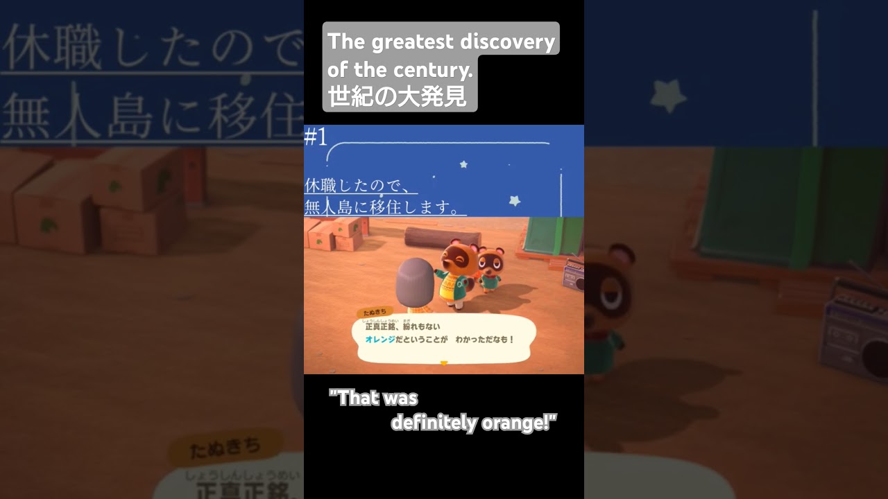 【Animal Crossing/あつ森】君は本当にかしこいね🍊【#1】