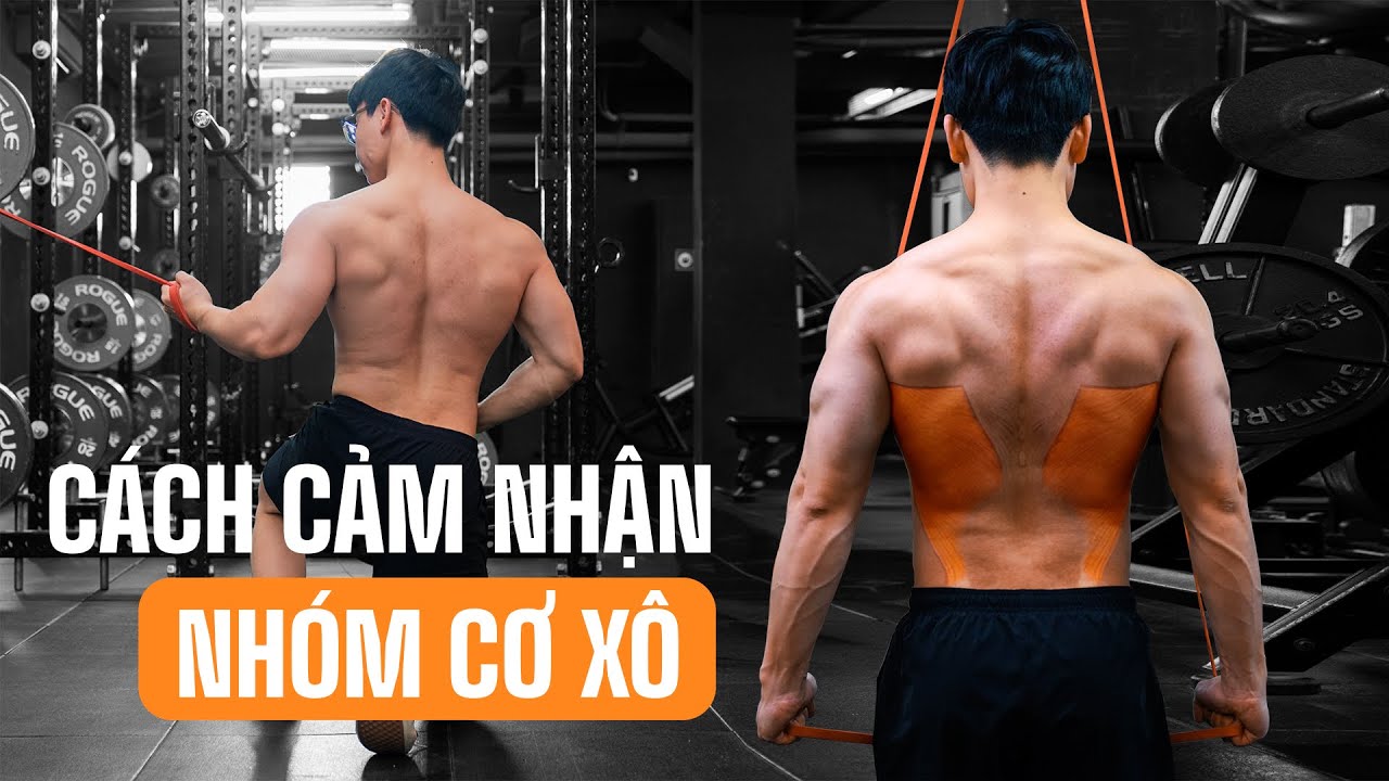 3 Cách để cảm nhận xô tốt hơn | Lats Activation | SHINPHAMM
