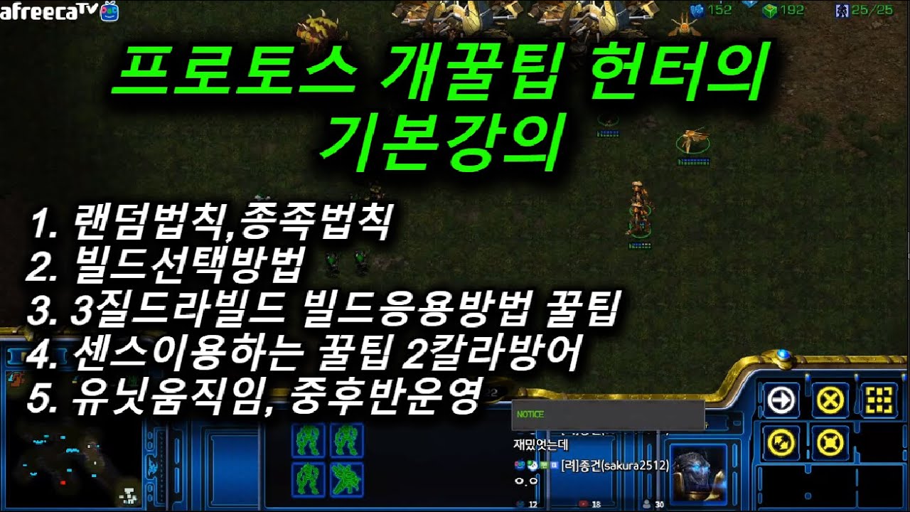 [스틱] 프로토스 강의 개꿀팁대공개 헌터 기본상식 스타팀플 TeamPlay StarCraft