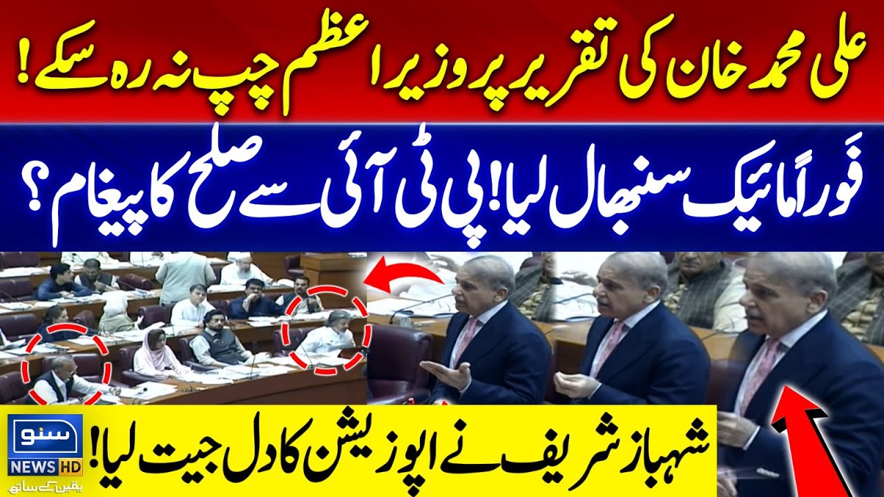 PM Shehbaz Sharif Strong Reply on Ali Muhammad Khan Speech | Big Offer To PTI | National Assembly