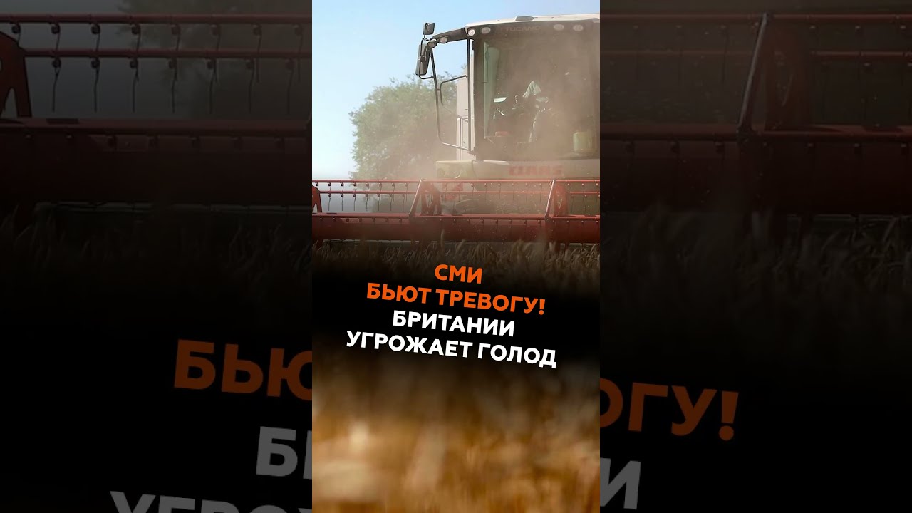 Британские СМИ бьют тревогу &ndash; продовольственный кризис близок #британия #новости #политика