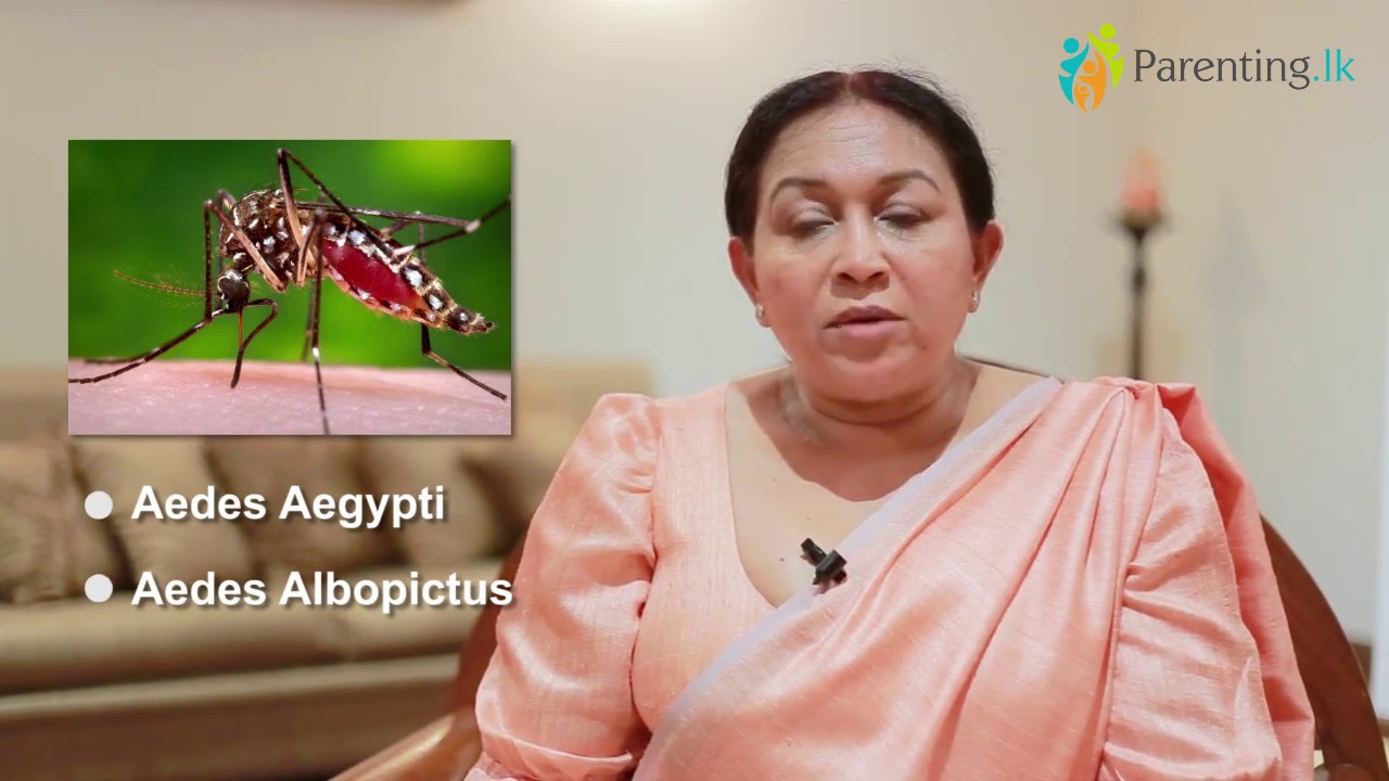 Dengue Video 1: ඩෙංගු මදුරුවාගෙන් වෛරසය බෝවෙන්නේ මෙහෙමයි