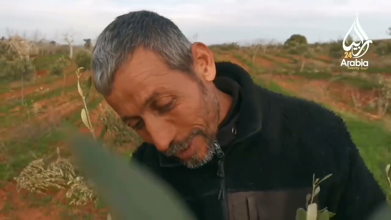 امطار الخير 