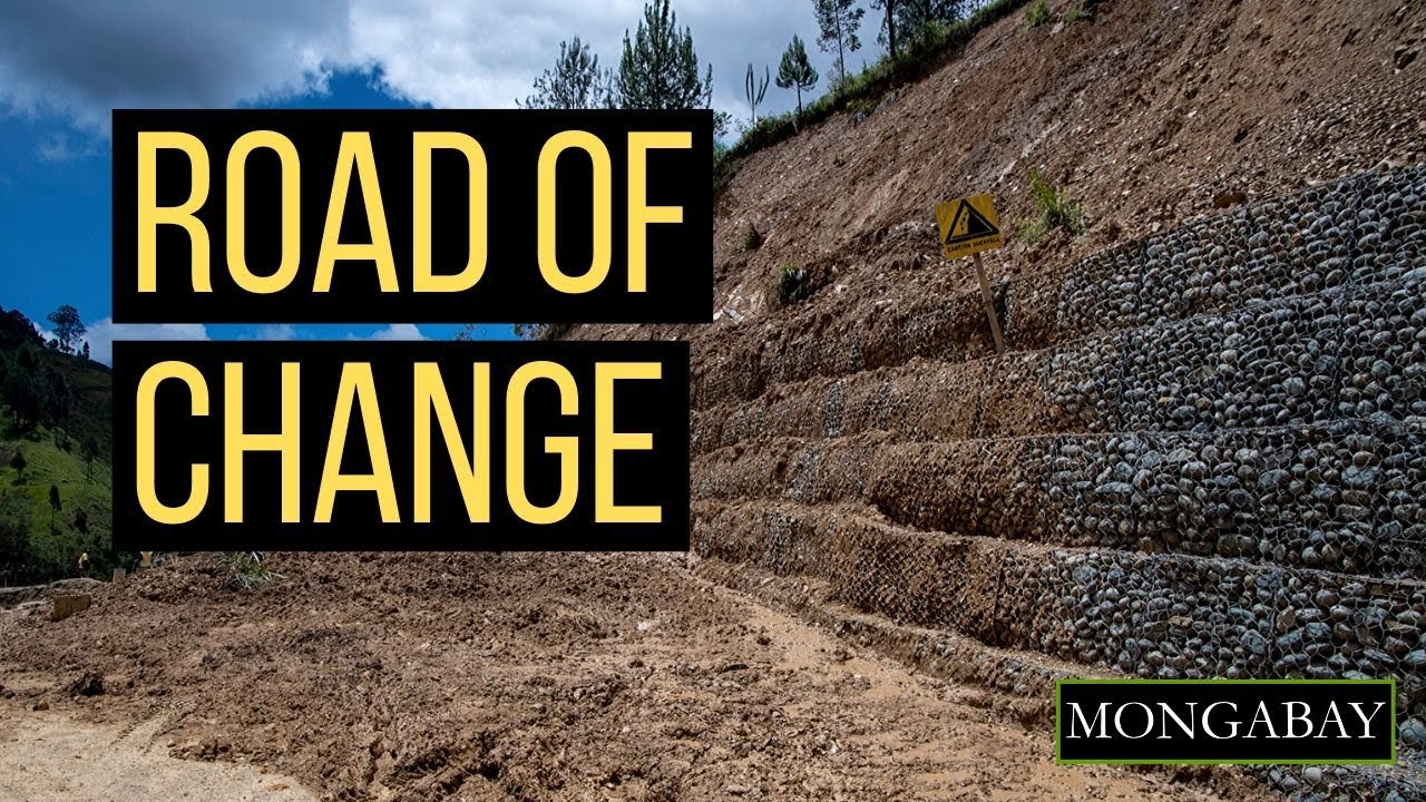 Papua New Guinea's road plans bring hope to communities but raise environmental concerns