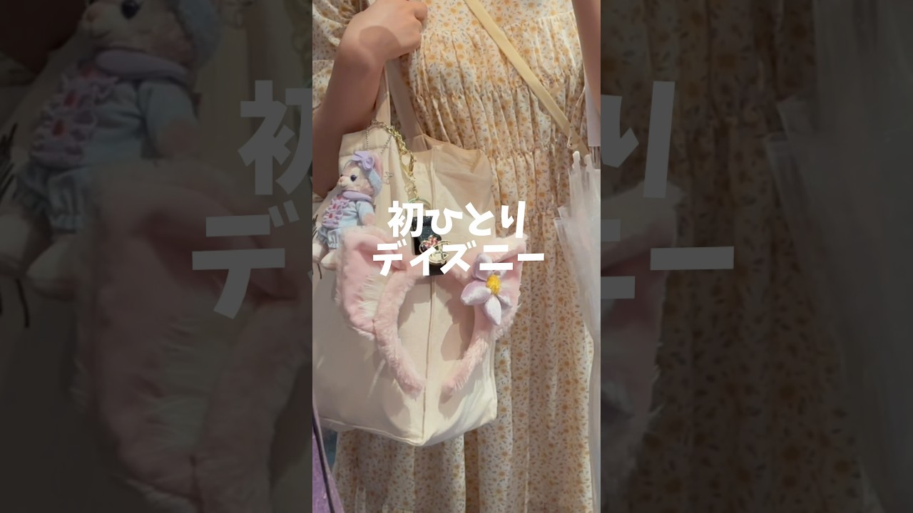 初ひとりディズニーでファンスプ満喫してきた 