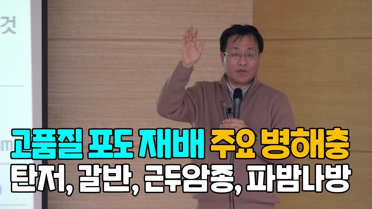 캠벨포도 재배 주요 병해충 탄저병, 갈반병, 근두암종, 파밤나방유충, 노린재, 애털날개 나방유충