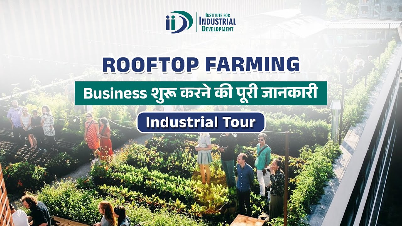 Rooftop farming || Organic Farming Solution || IID in Association with Living Greens