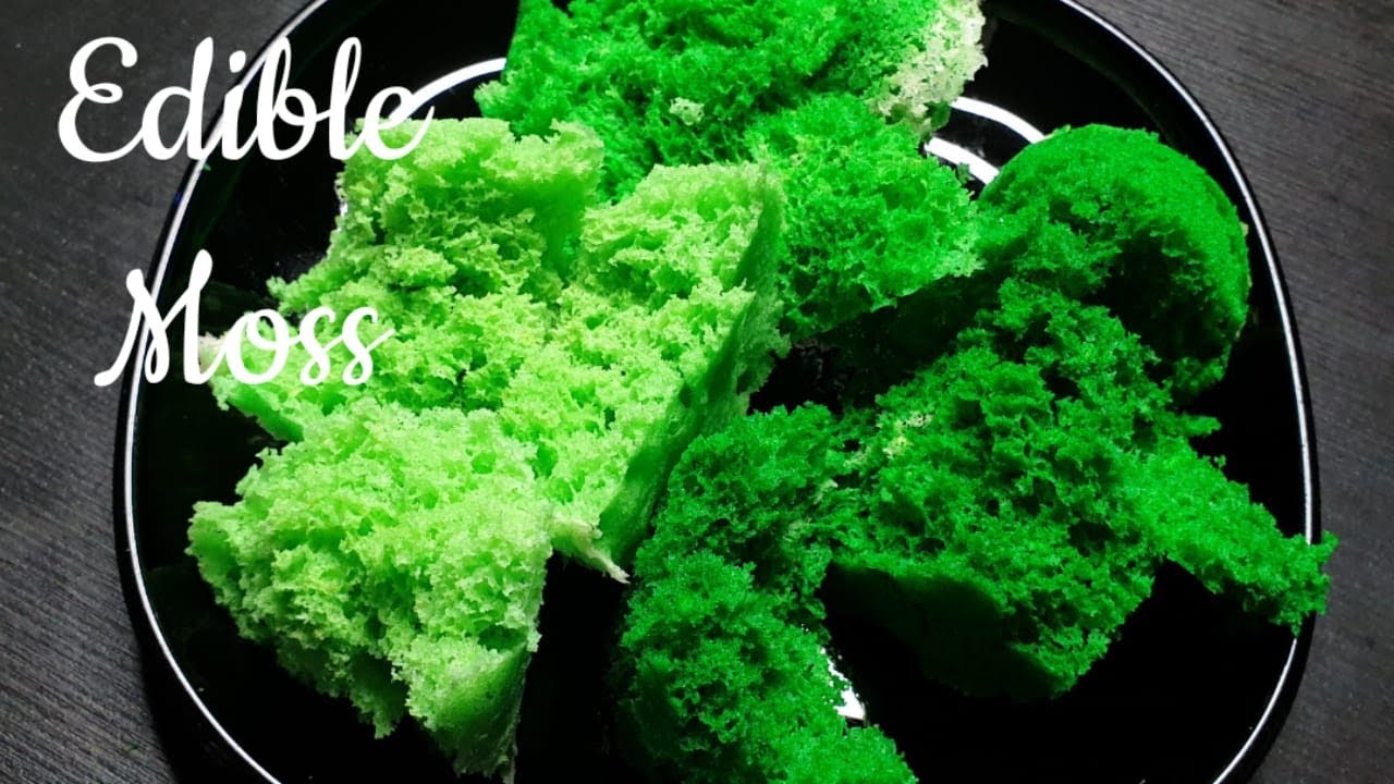 Edible Moss || Edible Grass
