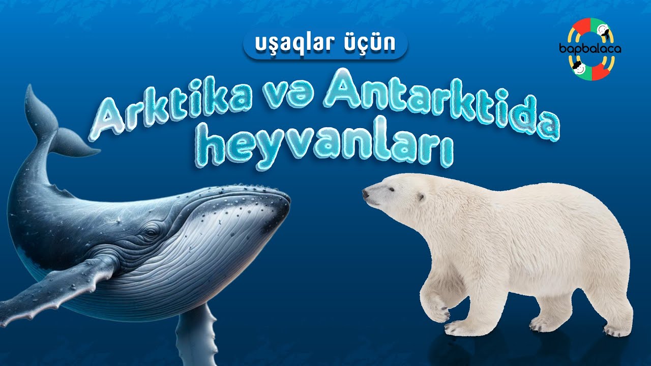 Şimal və Cənub qütbdə yaşayan heyvanlar - Heyvanların adları və səsləri - Heyvan aləmi uşaq üçün