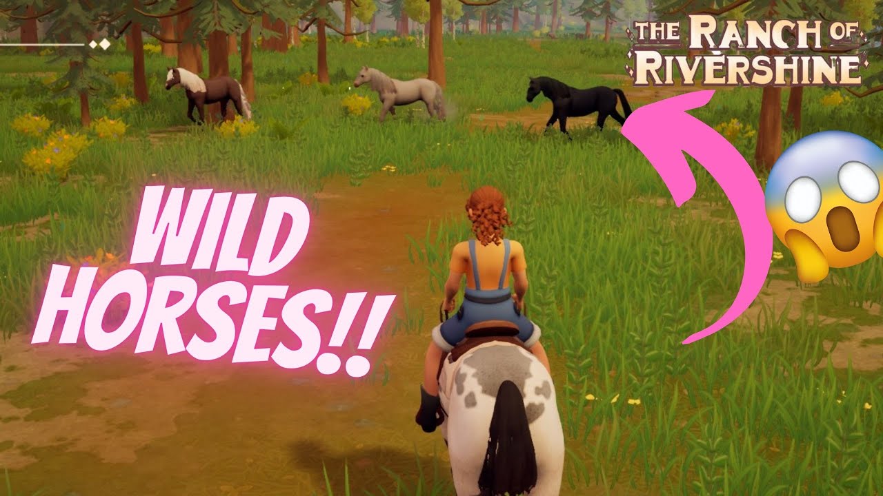 I CAUGHT MY FIRST EVER WILD HORSE!! THE RANCH OF RIVERSHINE