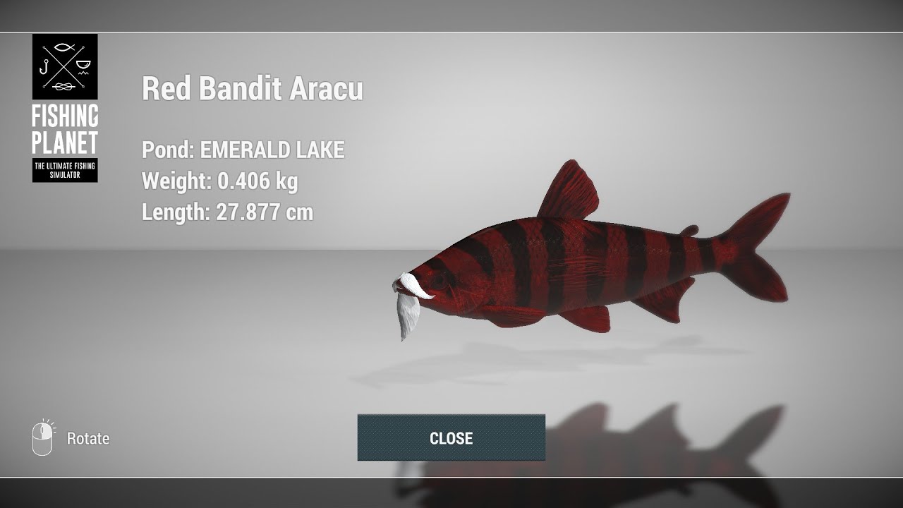 Fishing Planet,  Christmas Event 2020 - Track Down Krampus Payara, Aracu  New York Guide